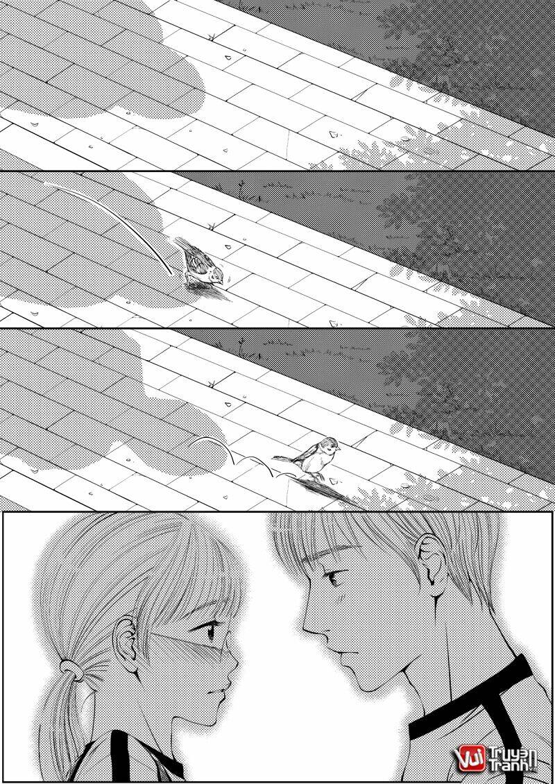 cặp đôi không hoàn hảo chapter 9 1