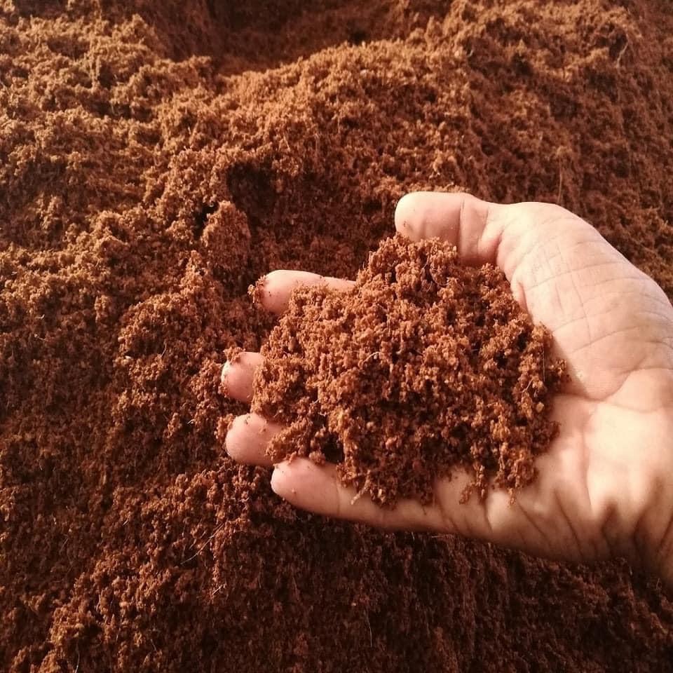 Viên nén mùn dừa trồng cây - Mùn dừa viên nén - 1 viên 500gram