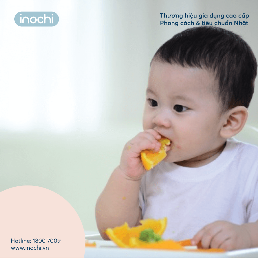 Bộ đồ ăn dặm trẻ em Inochi Amori dành cho bé từ 6 - 12 tháng tuổi