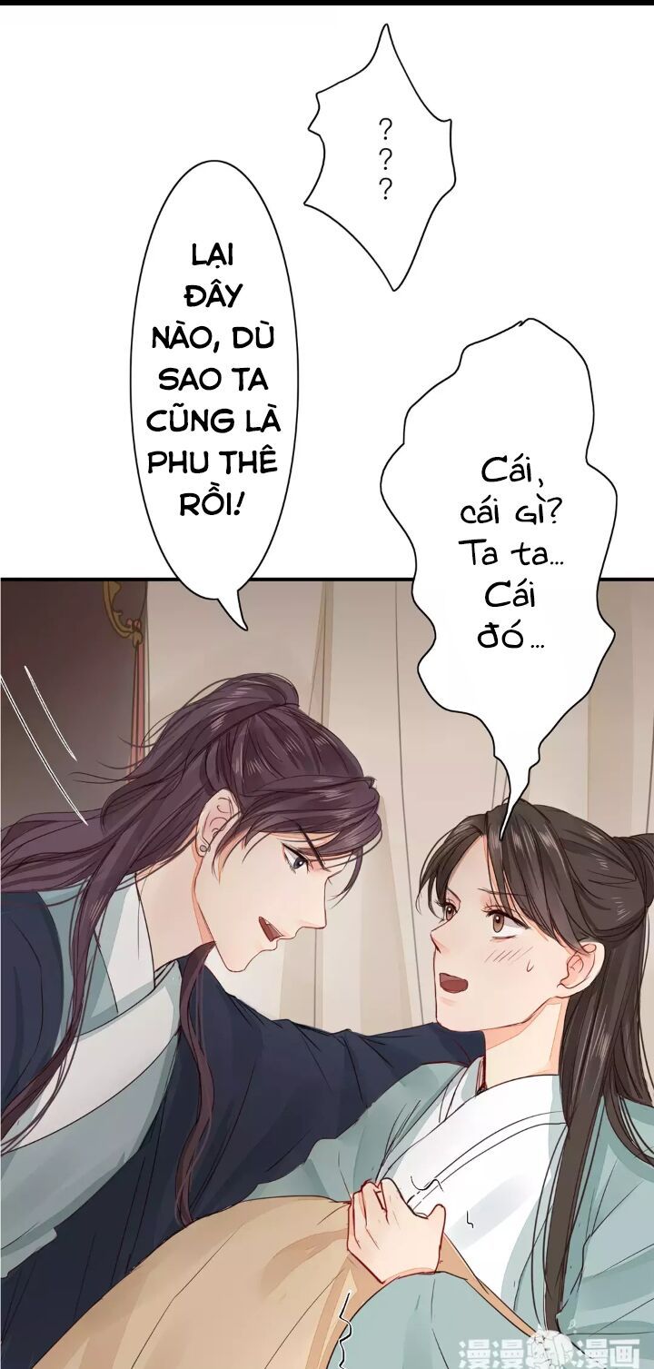 chỉ phu vi thê chapter 16 5