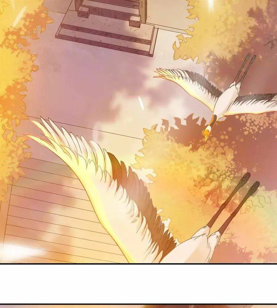 nữ tiên tôn bận đào hôn chapter 1.1 5