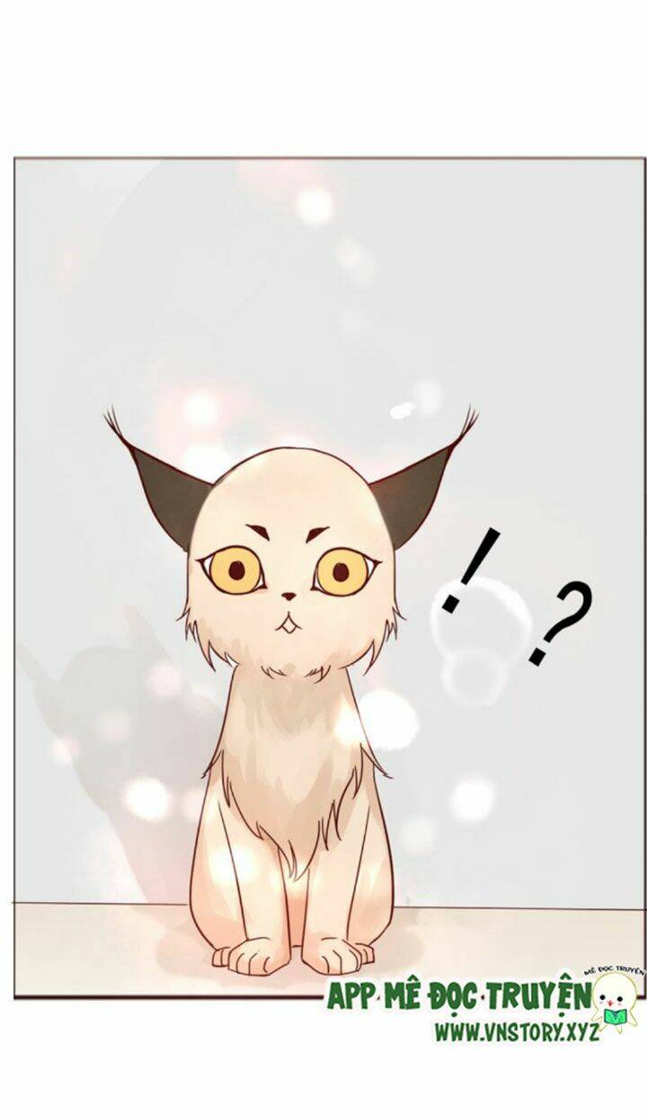 hồ tiên này không tin được chapter 8 14