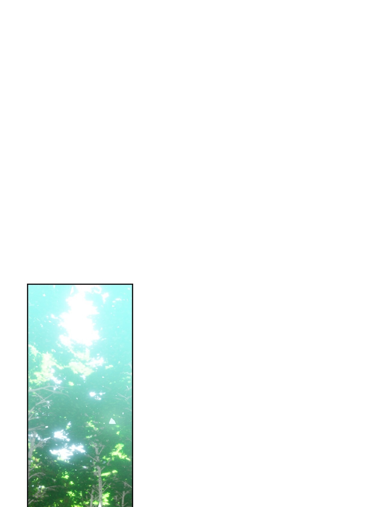 hợp đồng hôn nhân với hai người chồng chapter 12.2 48