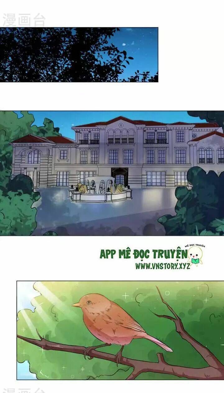 tổng tài đại nhân thật xấu hổ chapter 16 5