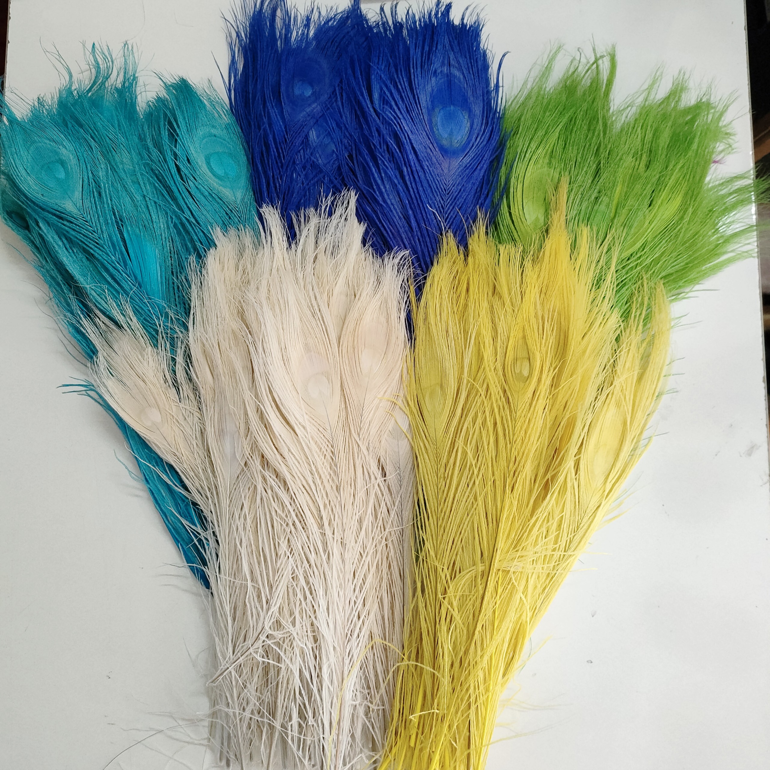Lông Công Màu TRẮNG,VÀNG, XANH trang trí 25cm 30cm-lông Khổng tước chiêu tài,trang trí