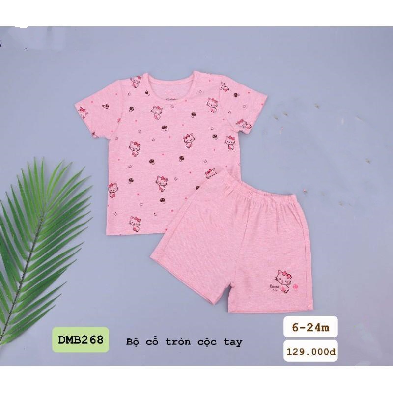 Bộ cổ tròn cộc tay DMB268