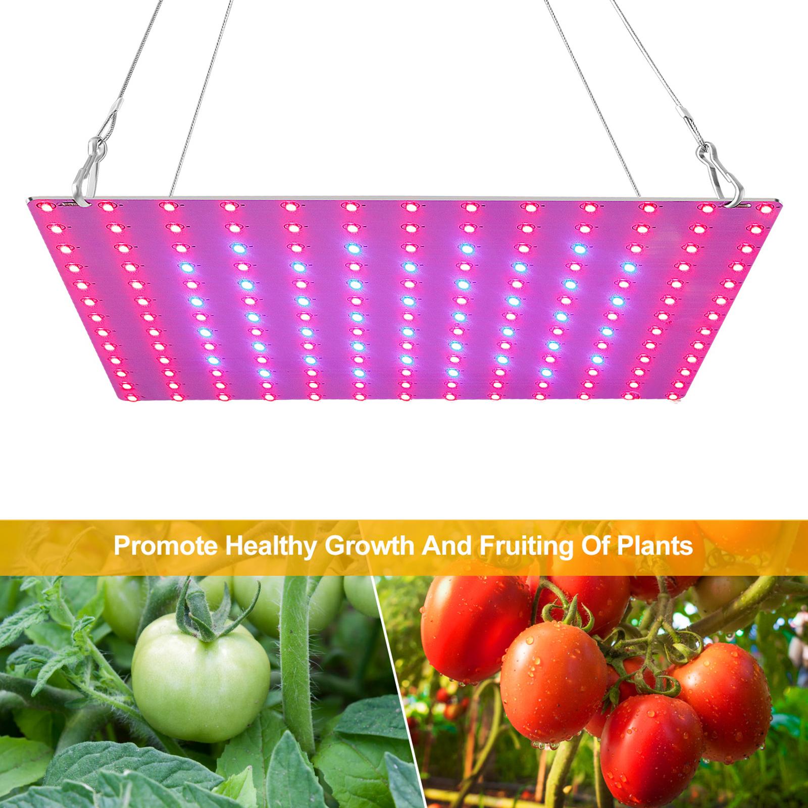 Bảng 169 Đèn Led Trồng Cây Quang Hợp Trong Nhà Kín