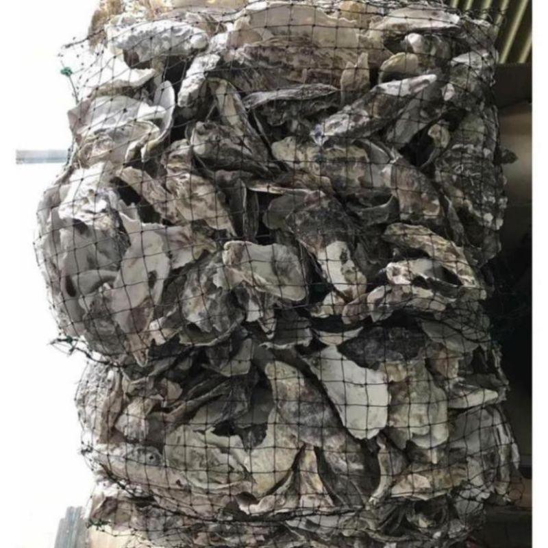 CHUẨN - Vỏ hàu nướng ion cho bể cá 1kg