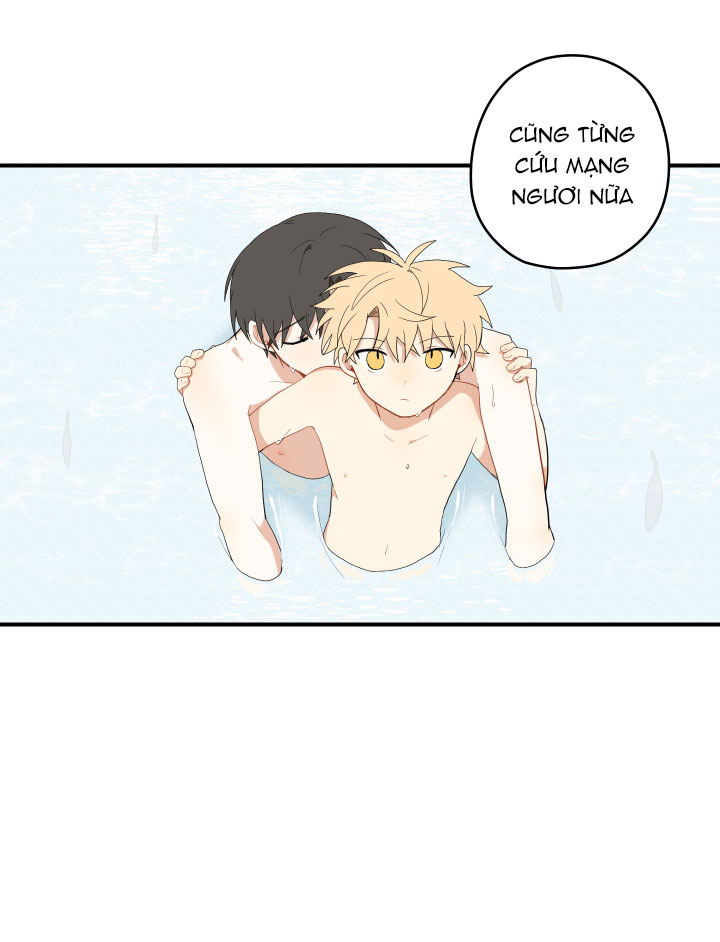 đường hoa liên kiều rơi chapter 23 11