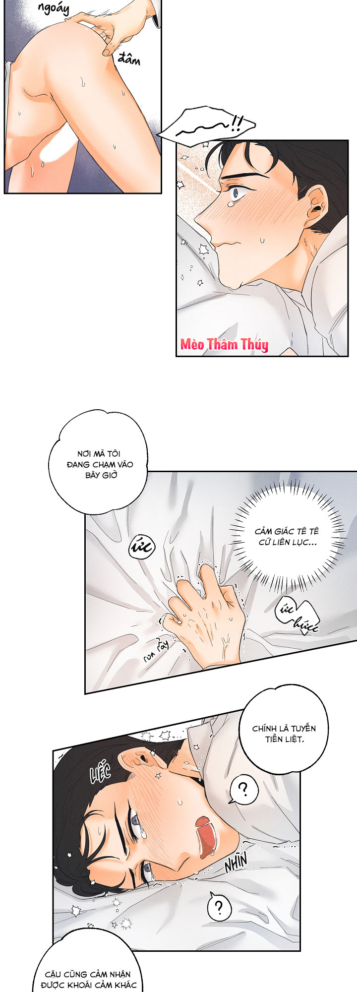 cuộc cải cách dâm dục chapter 2 13