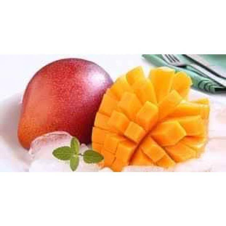 Cây Xoài đỏ Nhật bản... năm tháng cây cho trái