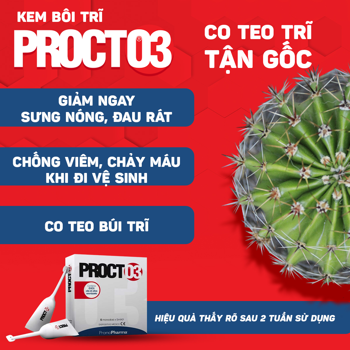 KEM BÔI HỖ TRỢ NGƯỜI BỊ TRĨ NỘI-TRĨ NGOẠI PROCTO3