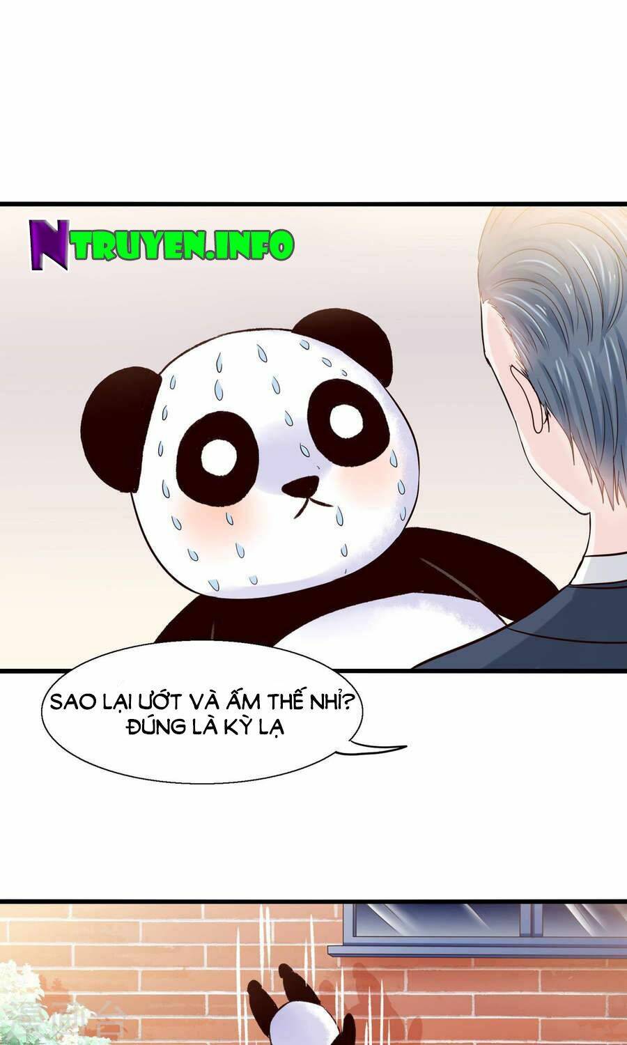 tôi bị gấu trúc nhìn trúng rồi chapter 11 13