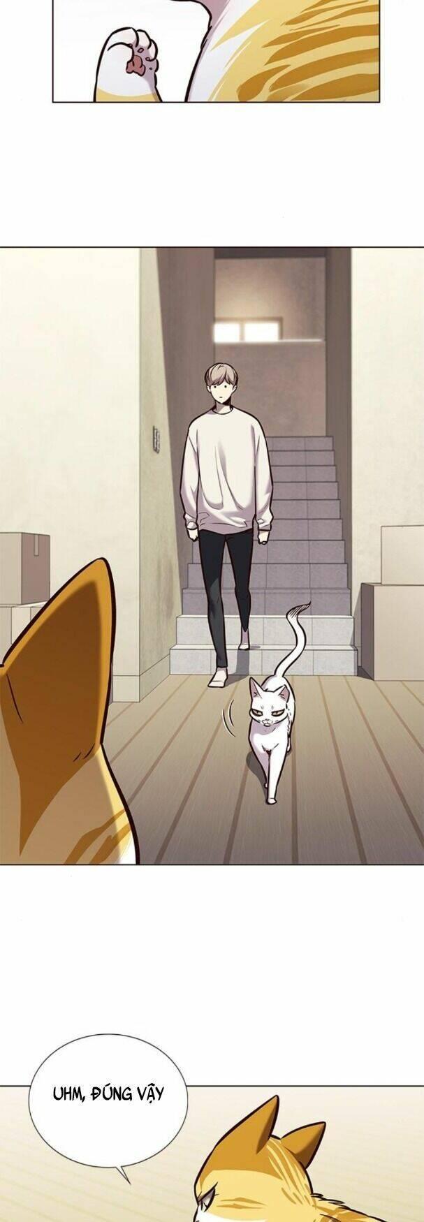 biến thân thành mèo chapter 180 5