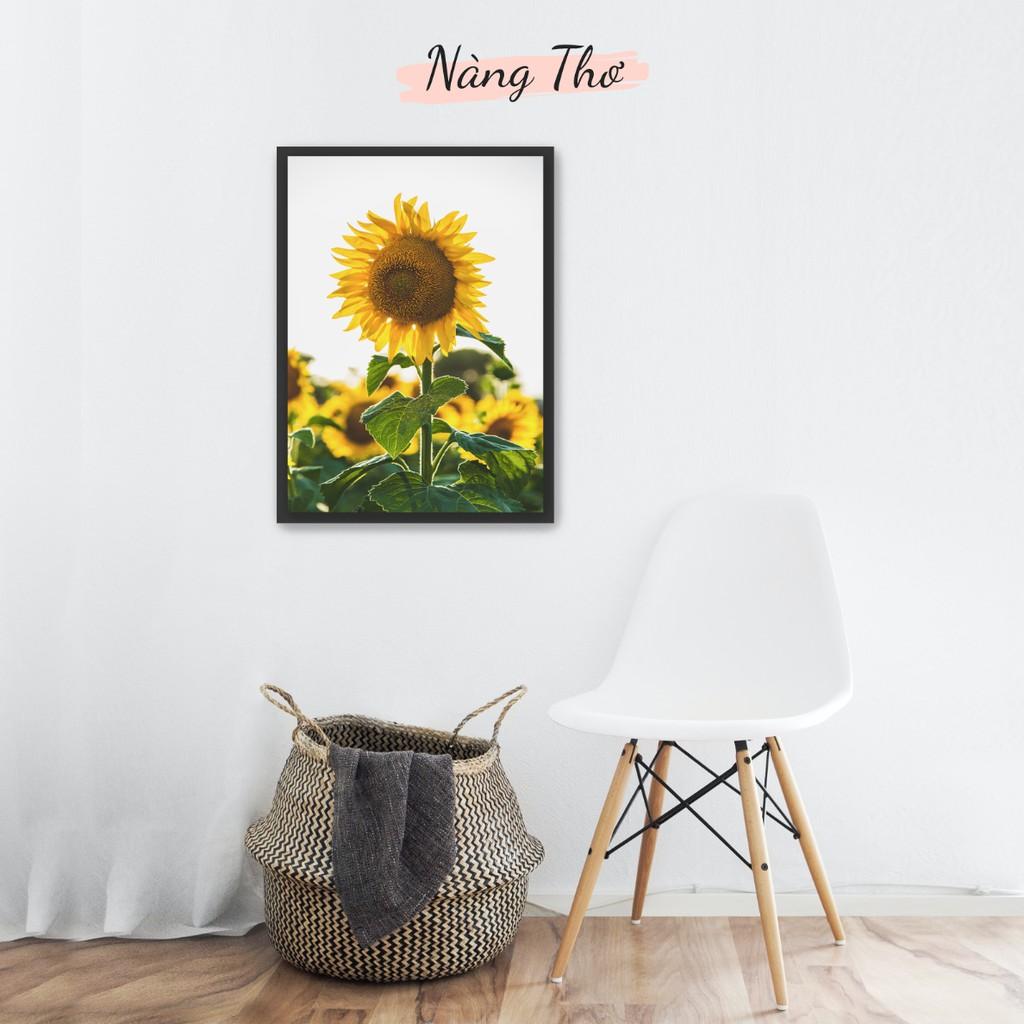 BỘ 2 TRANH HOA HƯỚNG DƯƠNG DECAL_DECAL VIP