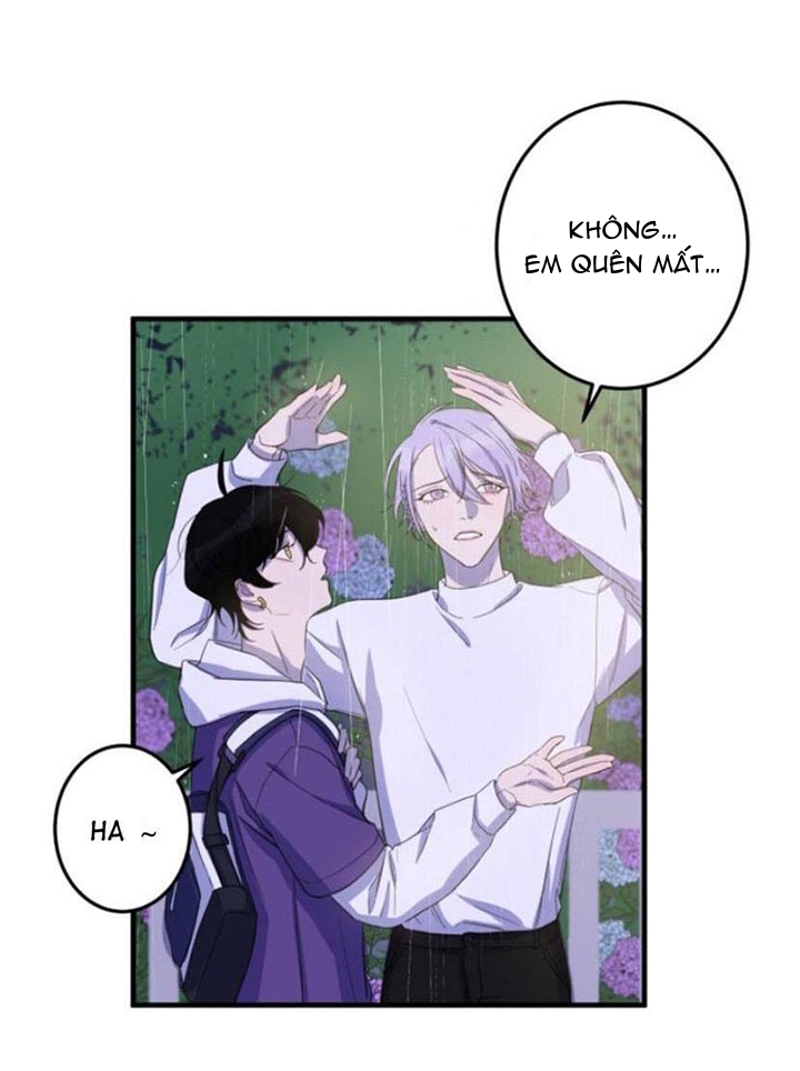 khẩu vị và sự tôn thờ của người yêu tôi chapter 13 9