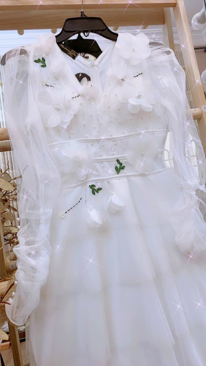 Đầm Maxi Dự Tiệc Tay Dài Đính Hoa Nổi Y Hình