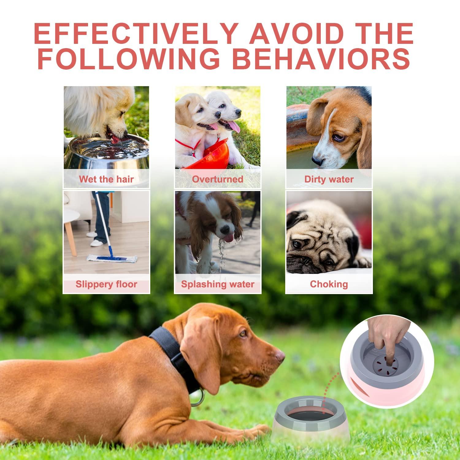Bát Wasserne cho chó, Chó ăn chống Schwapp khi đang di chuyển, Bát nước chống giật gân Không làm đổ Chó chống rò rỉ Bowl Du lịch Uống Bánh Grip Nước cho mèo