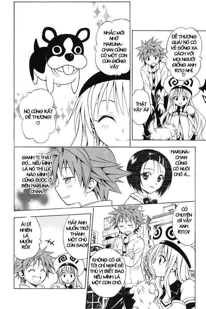 bọn tớ thích cậu! rito chapter 43 2