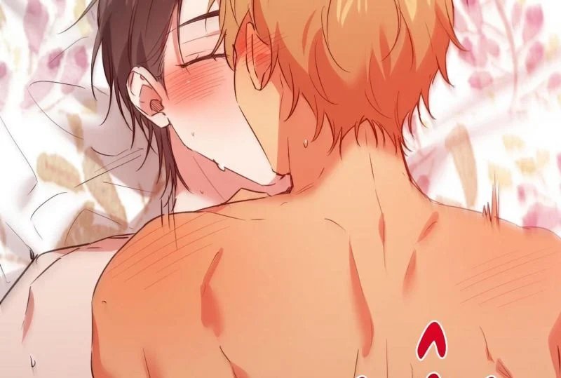 những chú thỏ của hapypy chapter 64 57