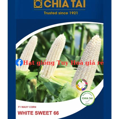 Hạt giống bắp nếp white sweet 66 siêu dẻo gói 500 gram