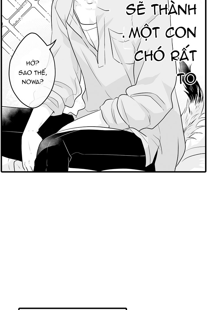 gấu ngủ đông chapter 3.3 8