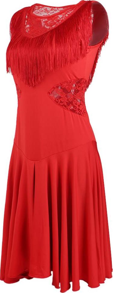 Women's Latin Dance Dress Fancy Costumes