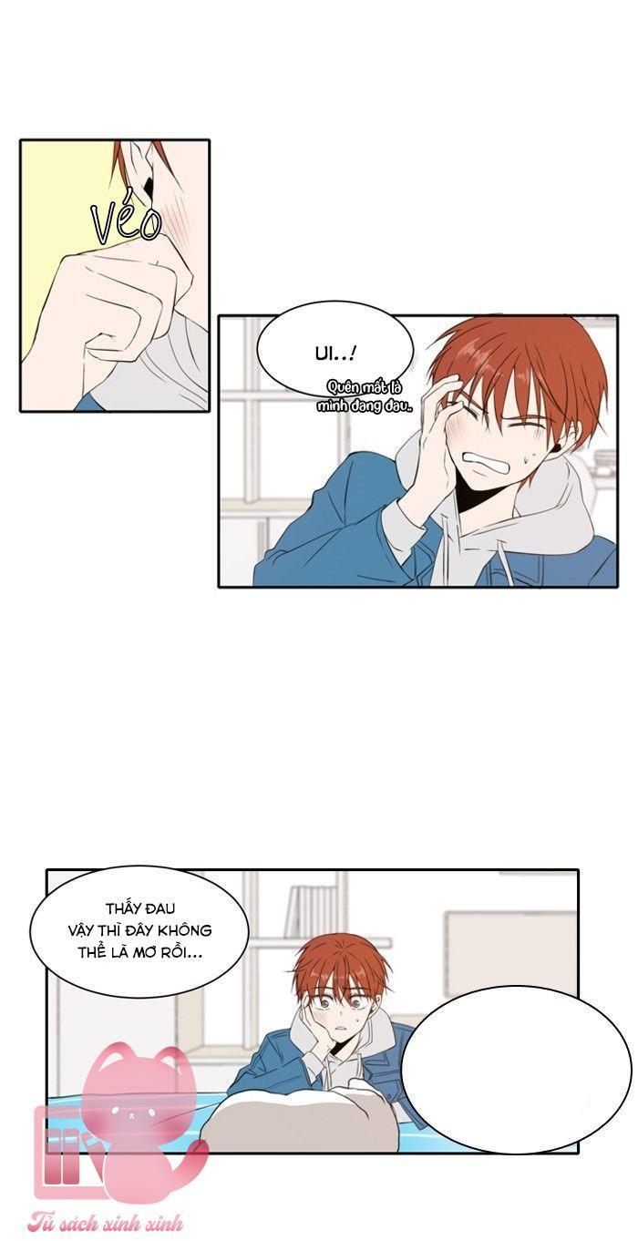 a good day to be a dog chapter 11 24