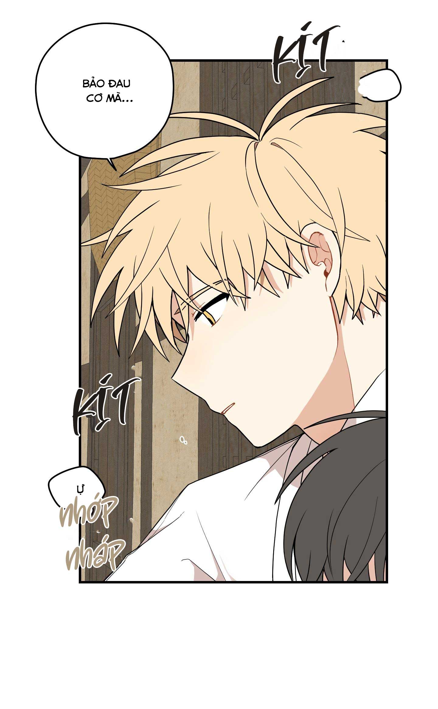 đường hoa liên kiều rơi chapter 34 38