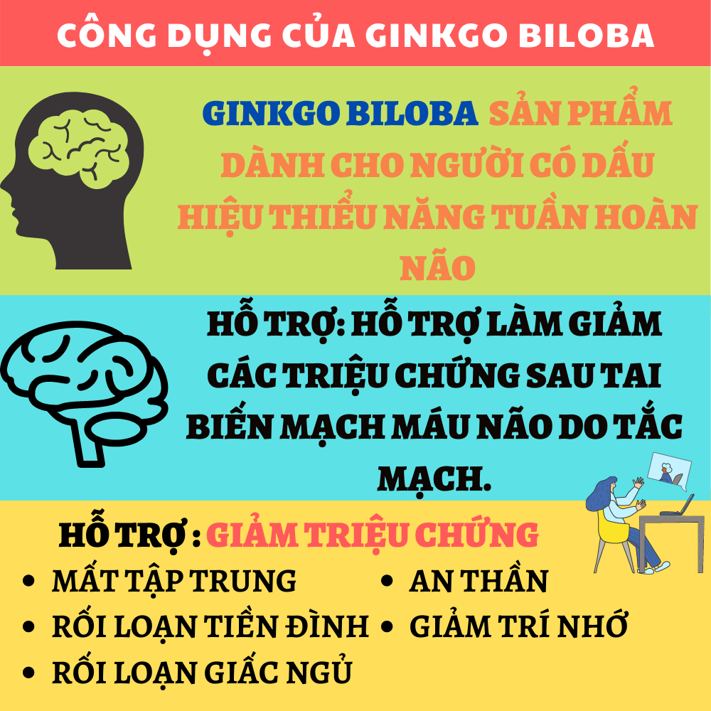 GINKGO BILOBA - Viên uống hỗ trợ chức năng não bộ, Giúp tăng cường lưu thông máu não, Giúp an thần, hỗ trợ điều trị rối loạn giấc ngủ