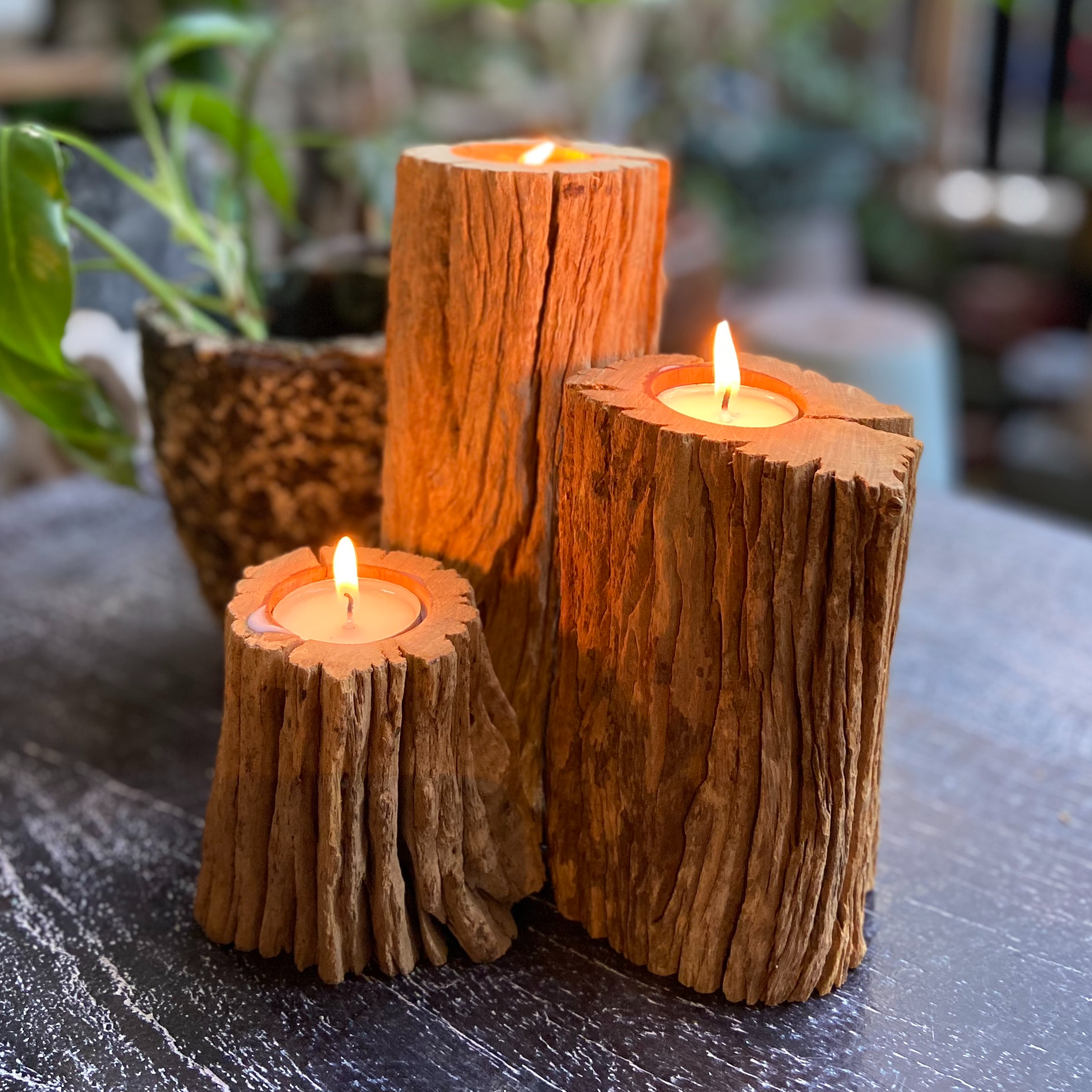 Chân đế nến gỗ lũa trang trí giáng sinh - noel 2021