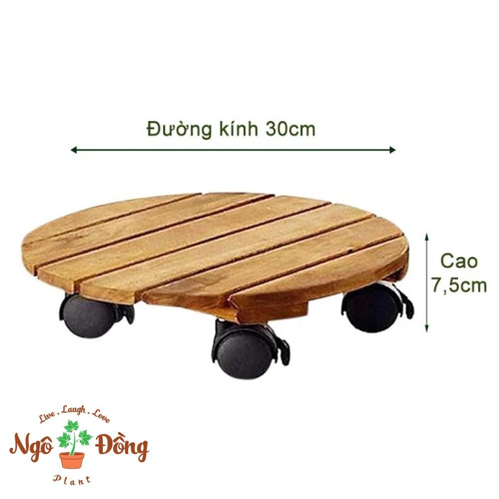 Combo 2 Đế Lót Chậu Cây Cảnh Gỗ Tràm Cao Cấp Chịu Lực Đến 80kg Ngoài Trời Trong Nhà