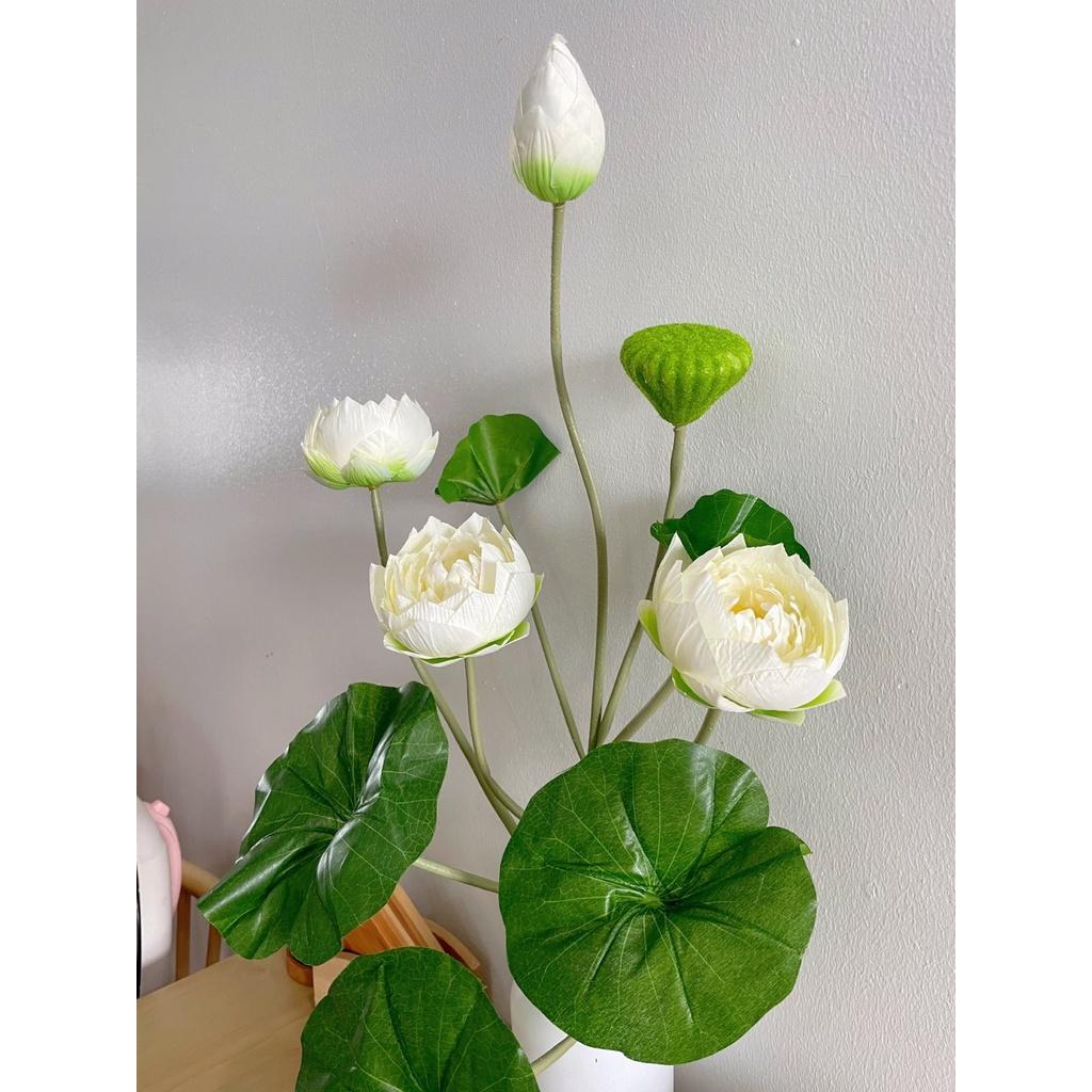 Cành sen giả,sen thái cánh kép cao 77cm,lụa cao cấp, lá in 3D-hoaluaminhhoa