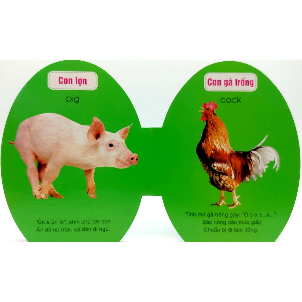 Quả Trứng Đáng Yêu Của Bé - Động Vật Nuôi