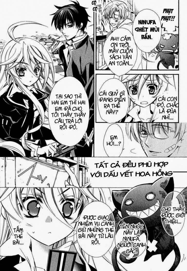 nụ hôn của công chúa tường vi chapter 1 41