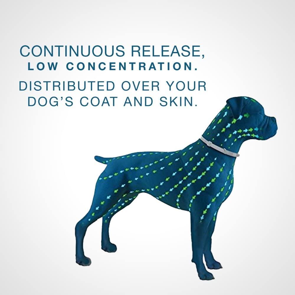 2 bộ cổ áo chống bọ chét và sủa cho chó Seresto 8 tháng cổ áo chống bọ chét cho chó lớn hơn 8 kg