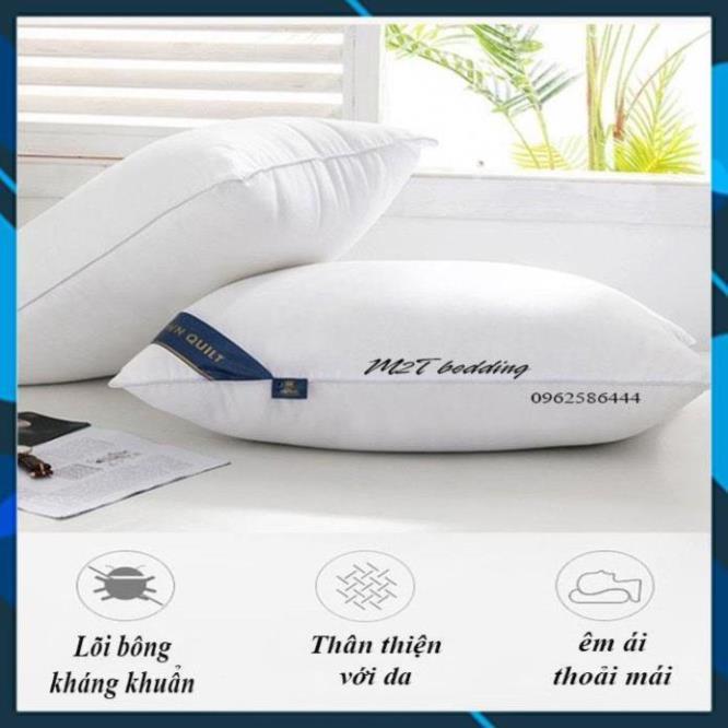 Hàng Auth- Ruột gối nằm Pillow cao cấp - ruột gối hơi nhập khẩu kích thước 45x65 cm