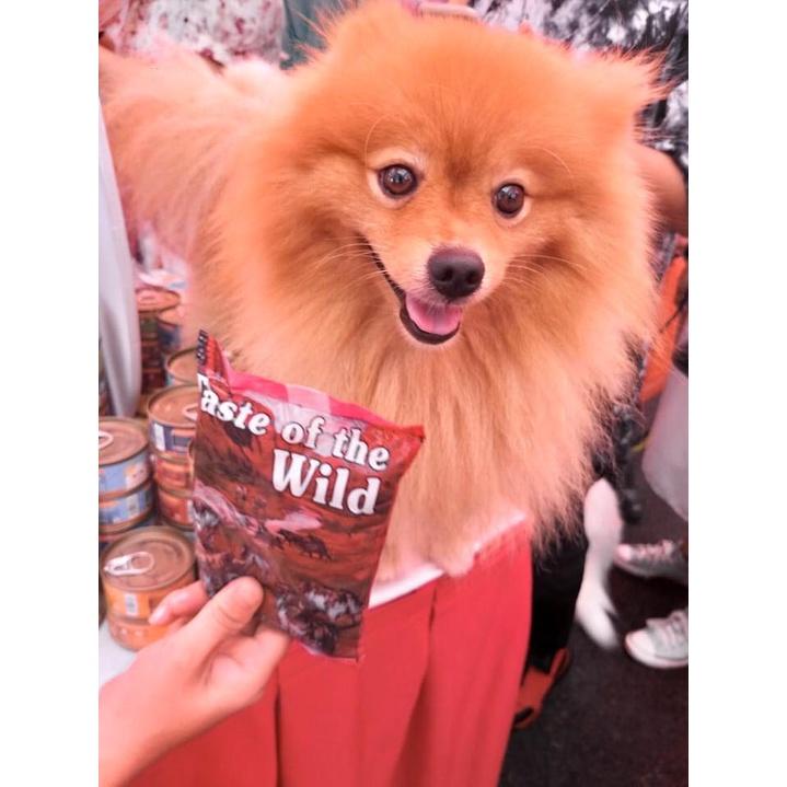 Thức Ăn Cho Chó Poodle Taste Of The Wild Bao 2kg - Southwest Canyon Thịt Heo Rừng, Trái Cây Rau Củ Quả