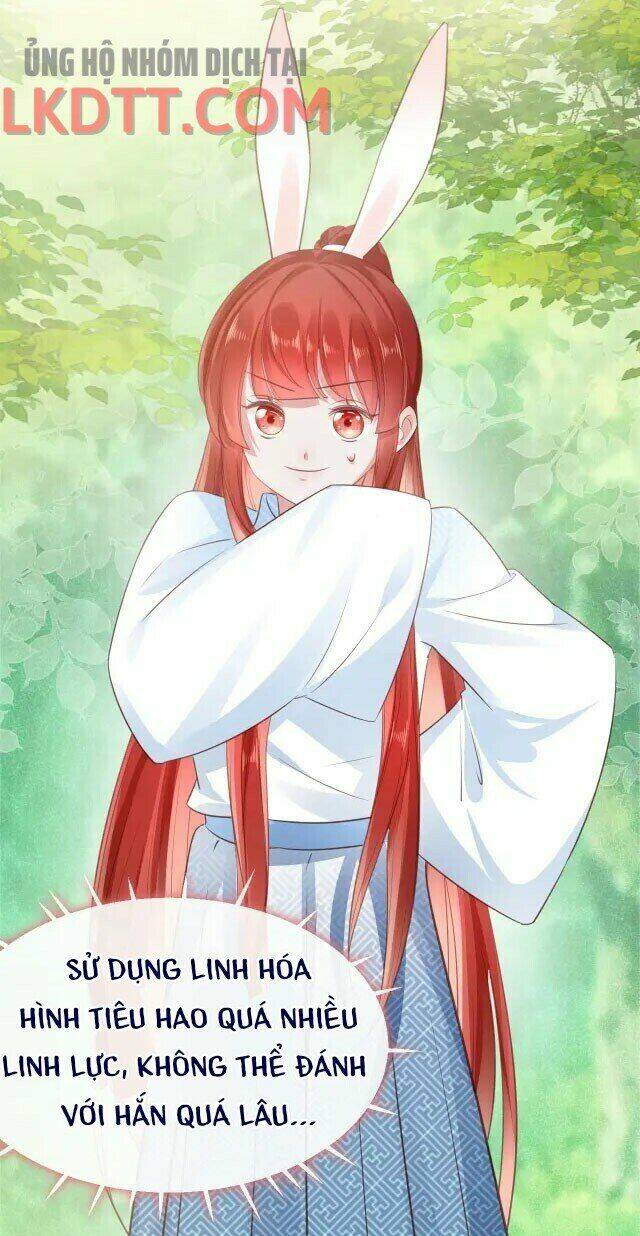 hắc hóa nam chính trực tuyến nuôi thỏ chapter 24 23