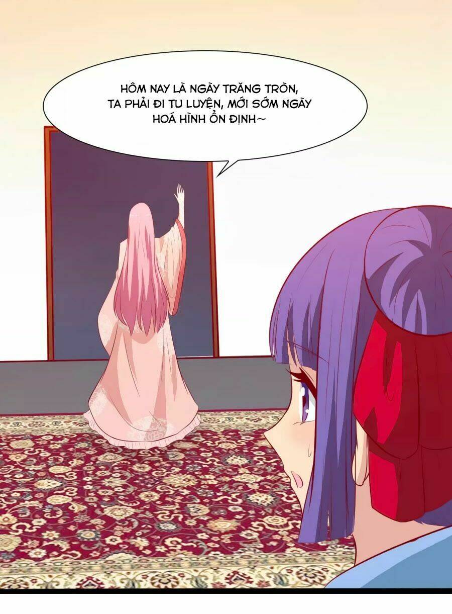 thỏ yêu tiểu vương phi chapter 35 7