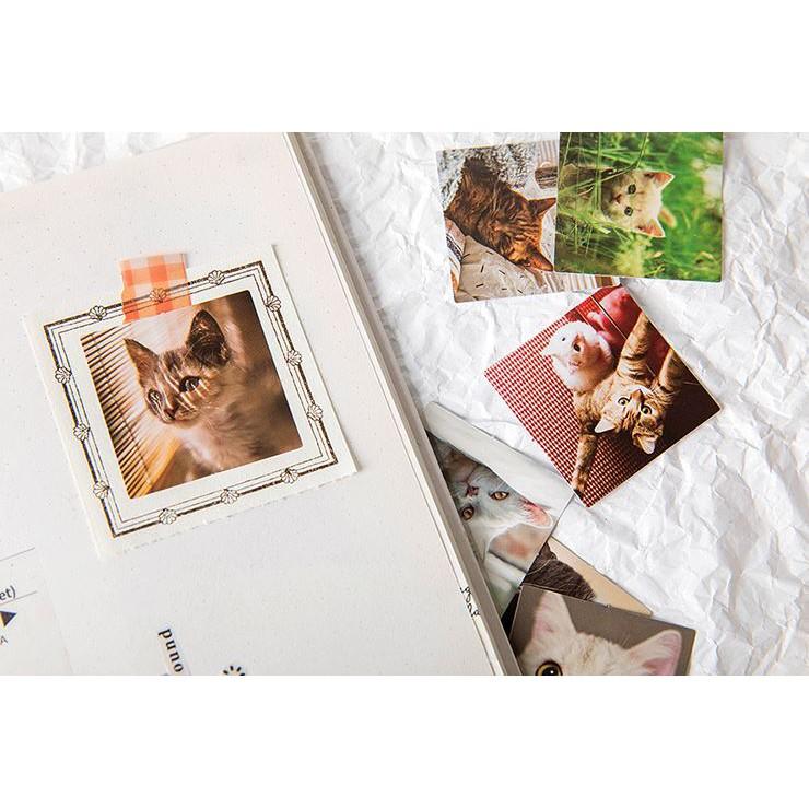 Bộ 46 Sticker Mèo Hàn Quốc dán trang trí E80