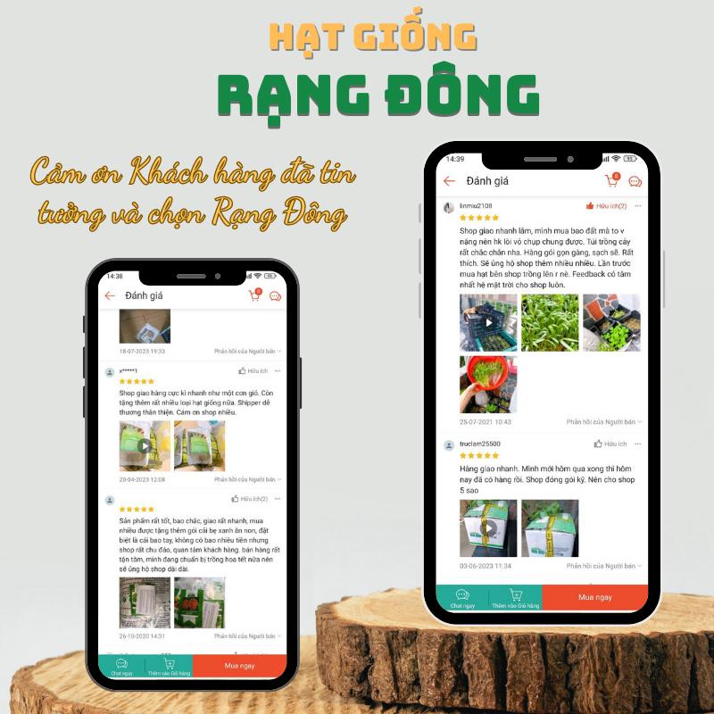 Hạt giống Cà Chua Cherry Đỏ Lai F1 Rado 640 (0,1g~45 hạt) sinh trưởng vô hạn, trồng quanh năm - Hạt giống Rạng Đông