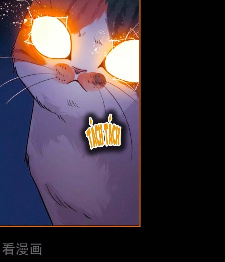 địa ngục cáo bạch thi chapter 84 21