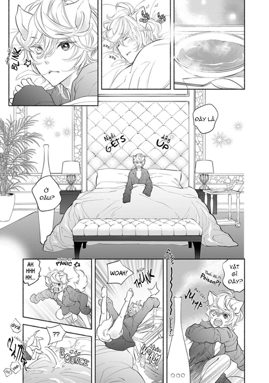 thú cưng muốn được yêu thương chapter 1 11