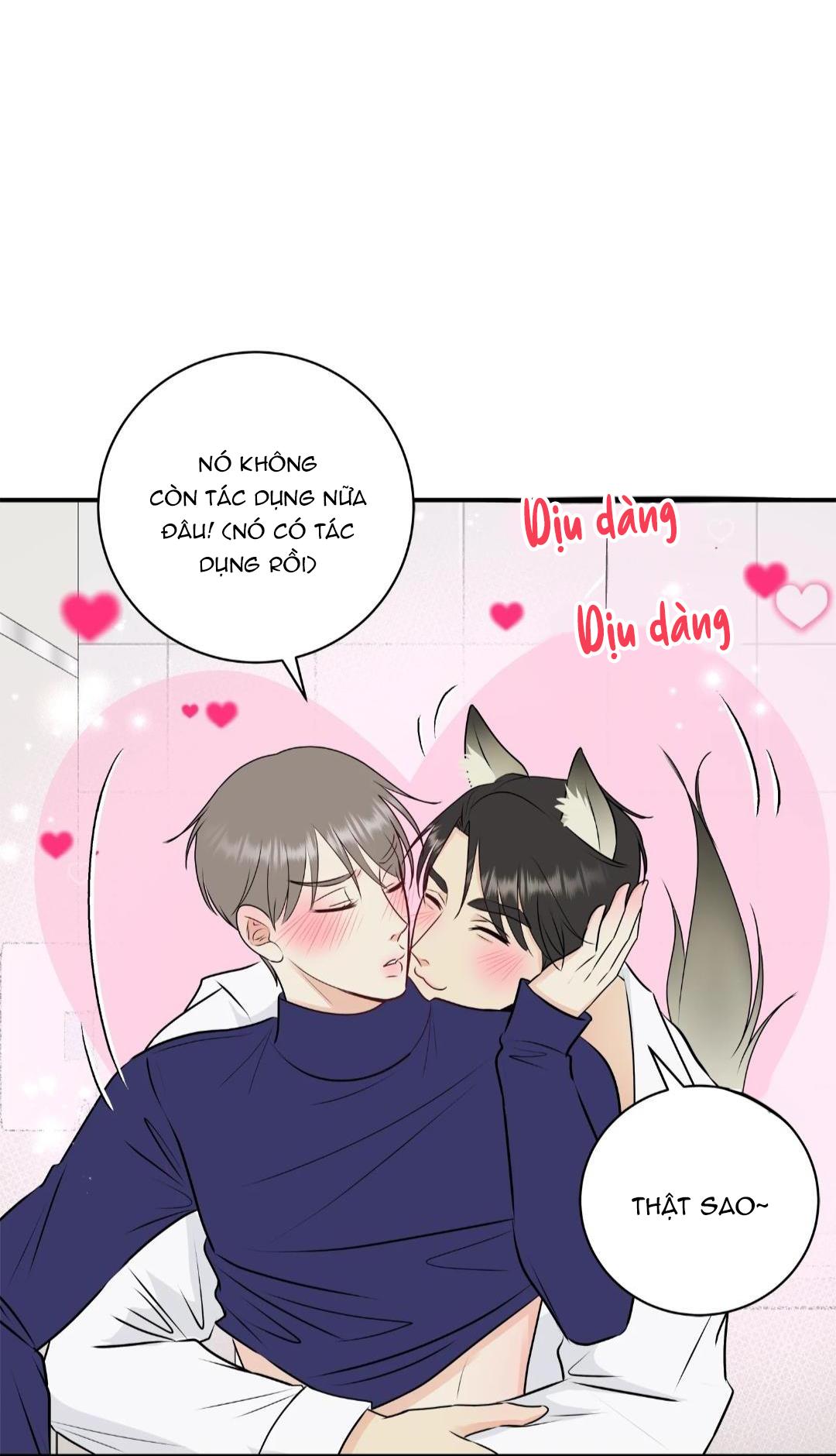 hạnh phúc trọn vẹn chapter 21 55