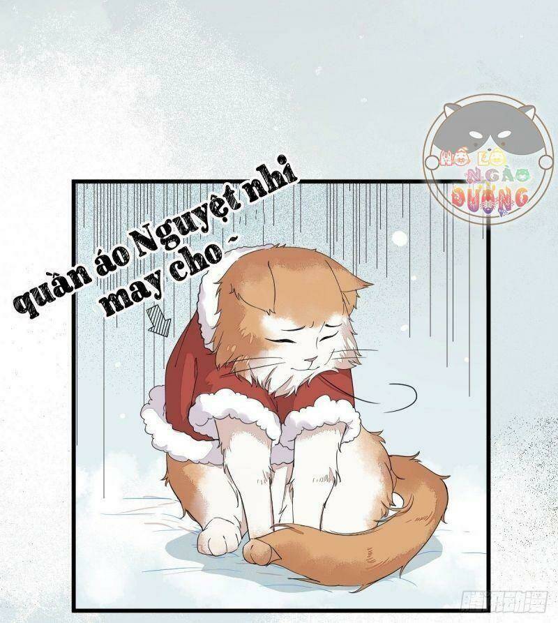 sát thủ vương phi không dễ chọc chapter 38 48