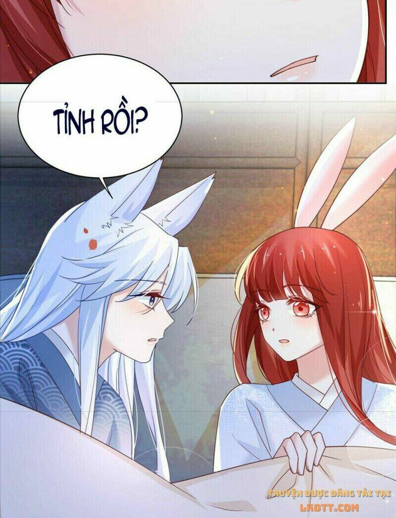 hắc hóa nam chính trực tuyến nuôi thỏ chapter 67 39