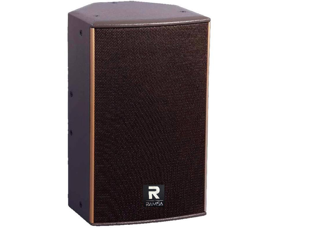 Loa Ramsa R12