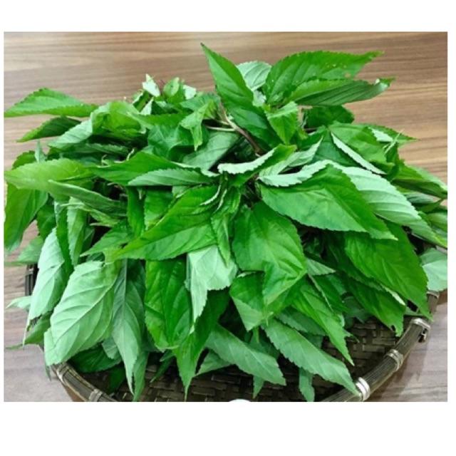 HẠT GIỐNG RAU ĐAY TRẮNG - gói 10gr