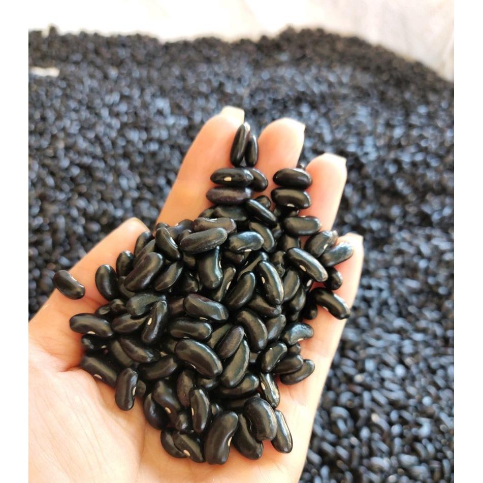 Hạt giống đậu Cove hạt đen cao sản - Agri Polo 117